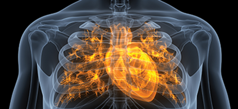 Chronic Cardiovascular Disease Management in the Dialysis Population