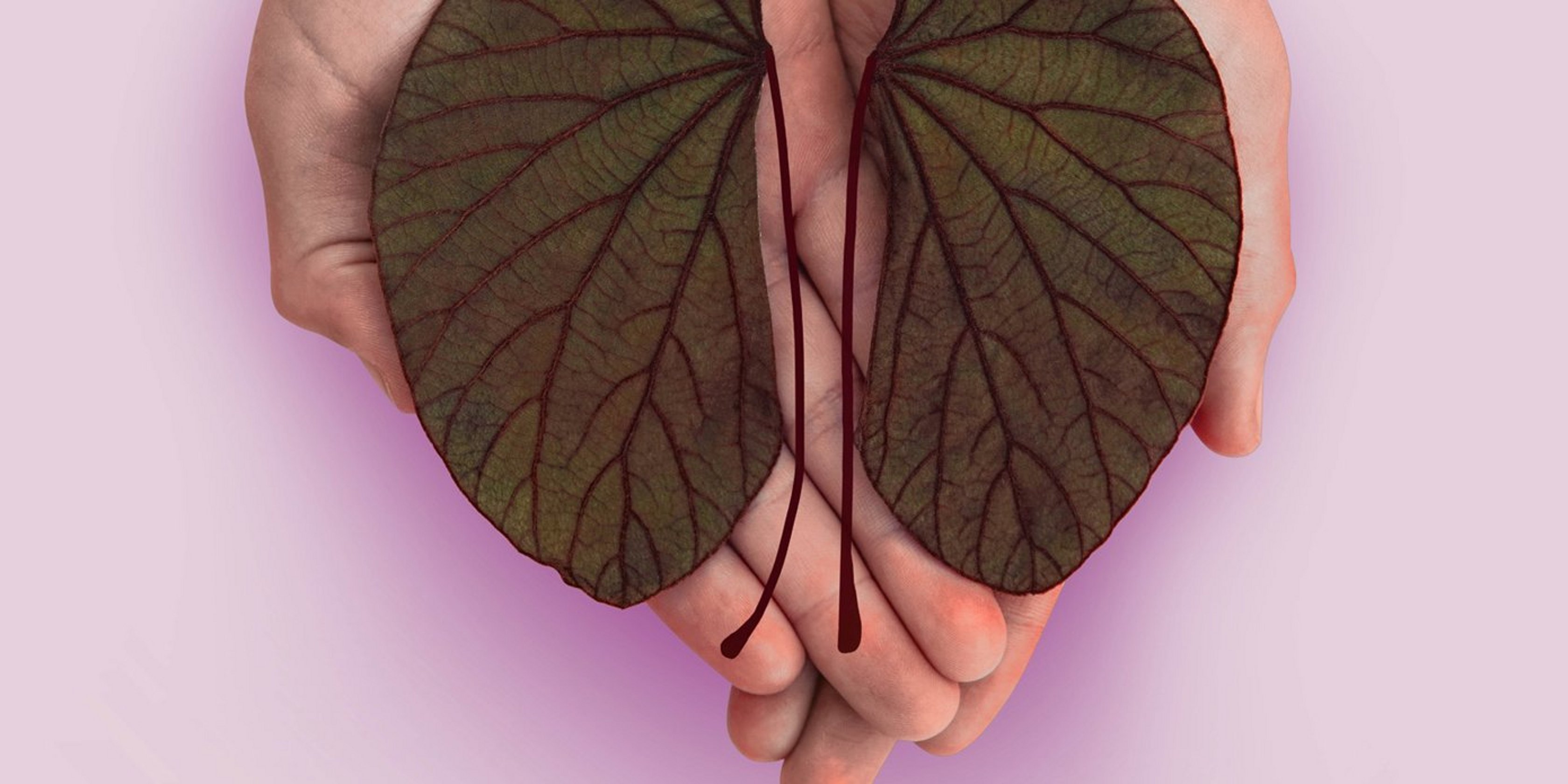 TransplantStory