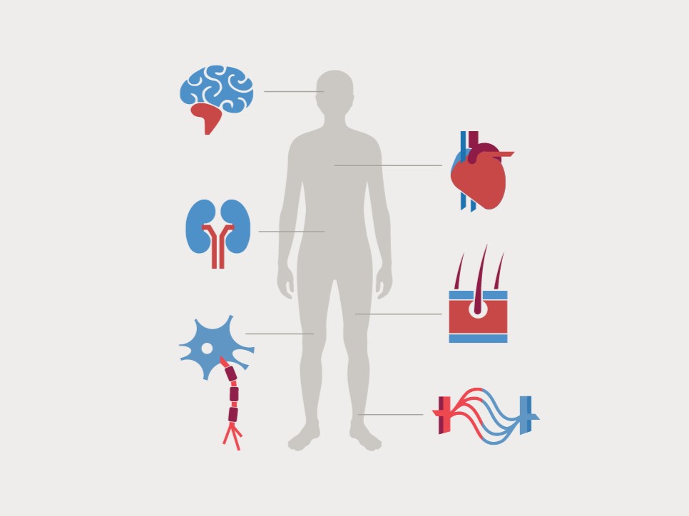 Therapeutic apheresis offers a wide range of applications