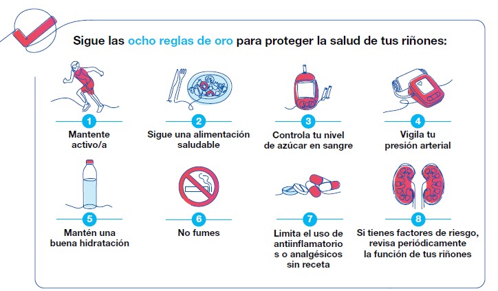 La enfermedad renal crónica será la quinta causa de muerte prematura en 2040: ocho reglas de oro para su prevención