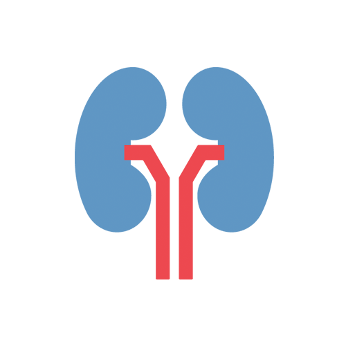 Nephrologie