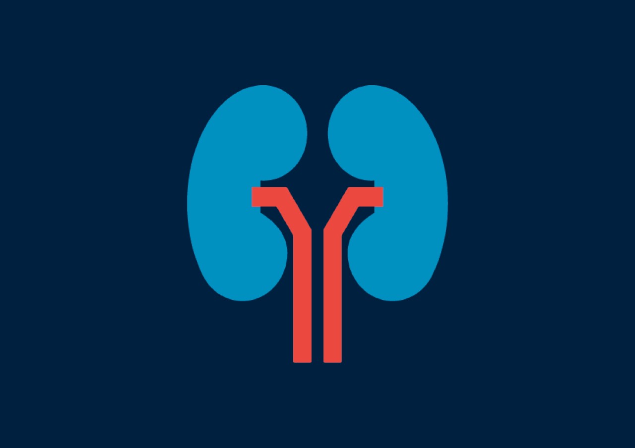 Klinische Indikationen im Bereich Nephrologie