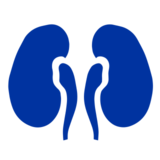 Automatisierte PD (APD)                               