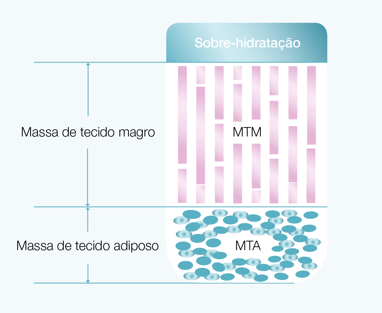 Os três compartimentos