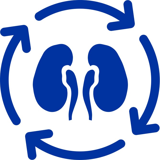 Chronische Nierenerkrankung und Transplantation