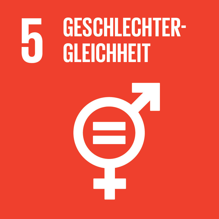 Sustainable Development Goals_icons-EMILIE