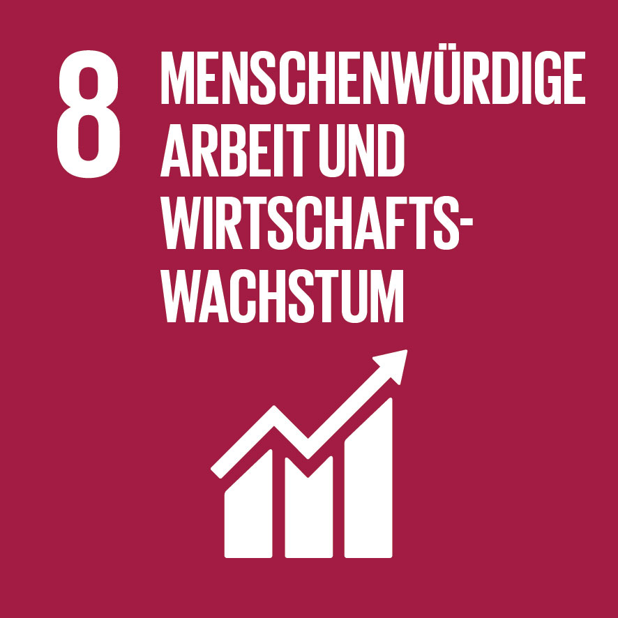 Sustainable Development Goals_icons-EMILIE