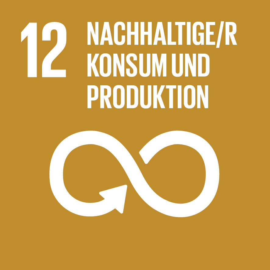 Sustainable Development Goals_icons-EMILIE
