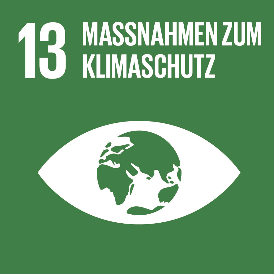 Sustainable Development Goals_icons-EMILIE