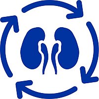 Chronische Nierenerkrankung und Transplantation