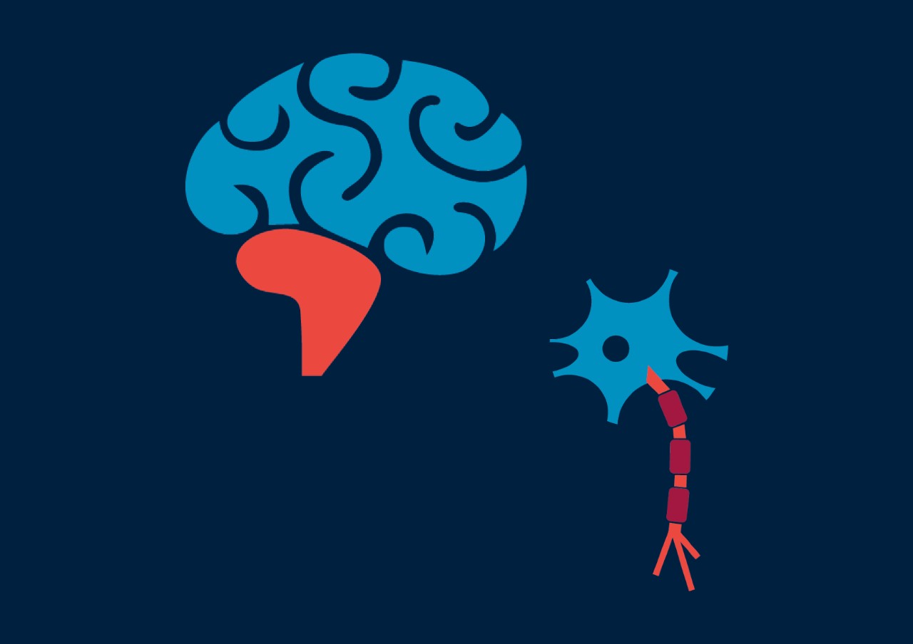 Neurology-related clinical indication