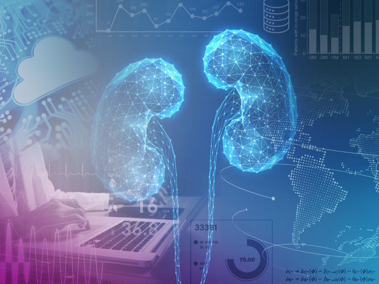 ApolloDialDb™: A Dialysis Database of the Future
