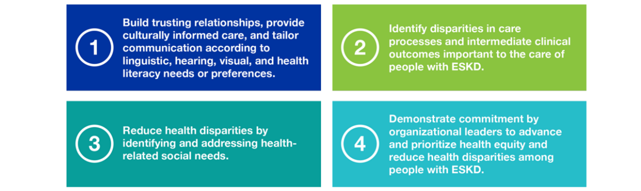 Figure 1 | Fresenius Kidney Care Health Equity Strategic Plan Goals