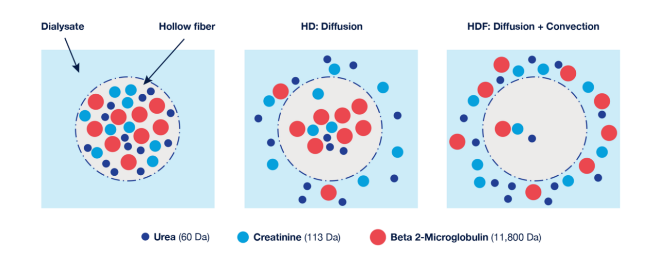 Diffusion_and_convection_process_2