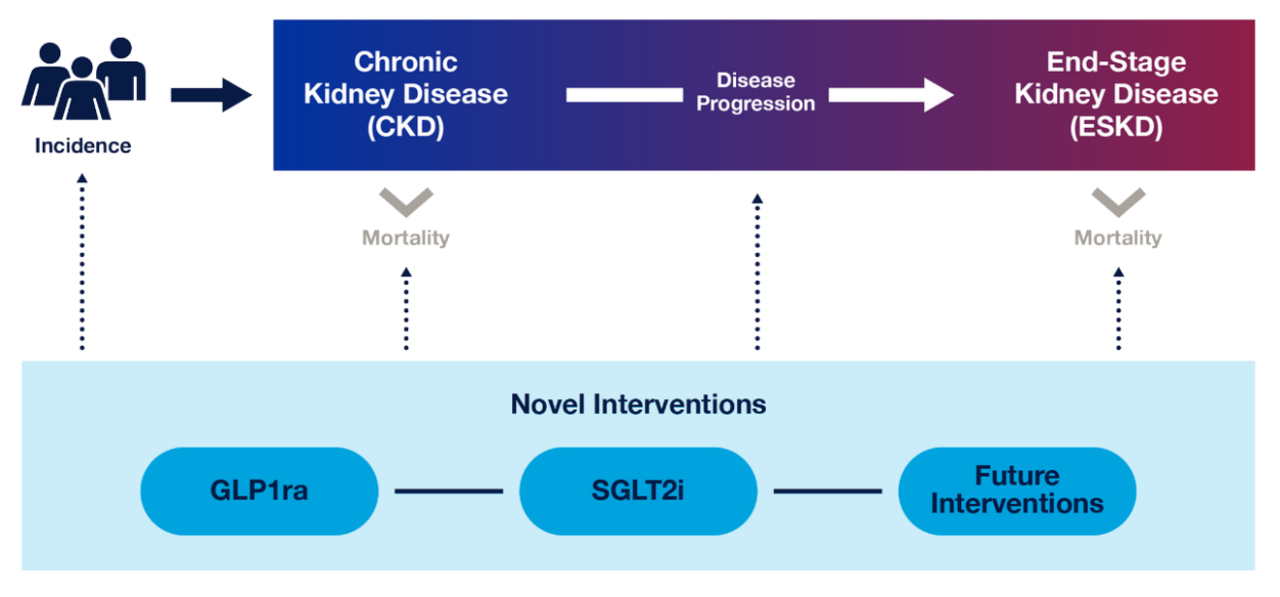 Figure 1 | Schematic Of The Population Impact Model