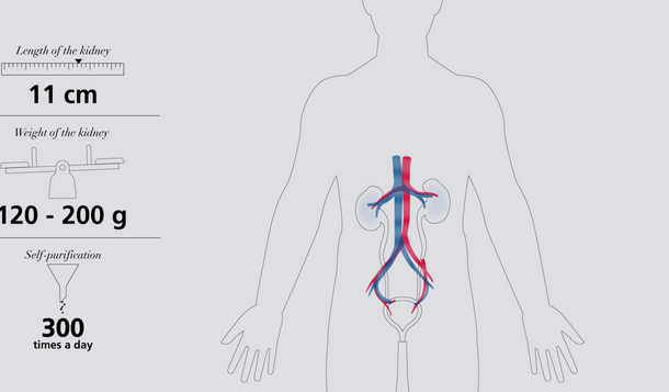 Understanding_Dialysis_Video_Half_Teaser