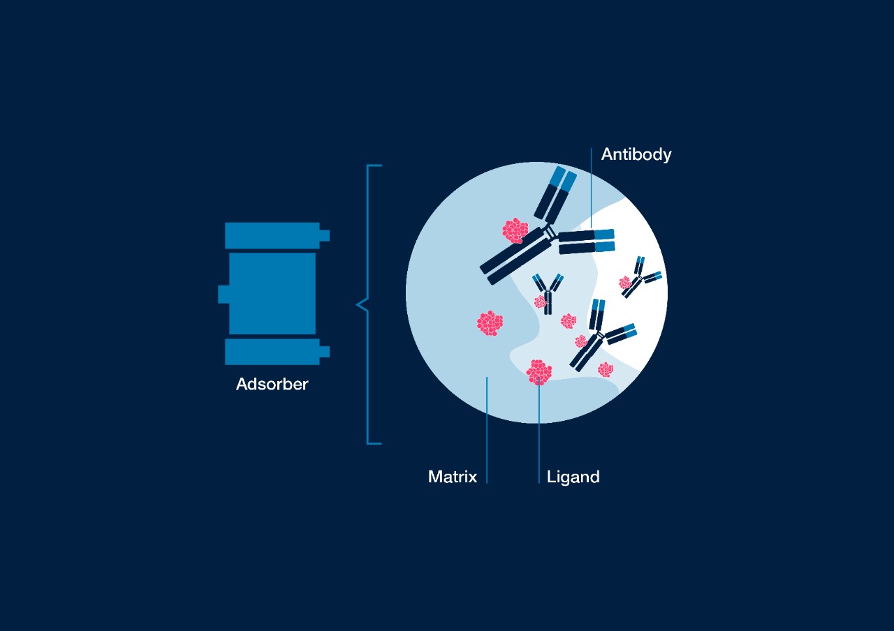 Antibodies 