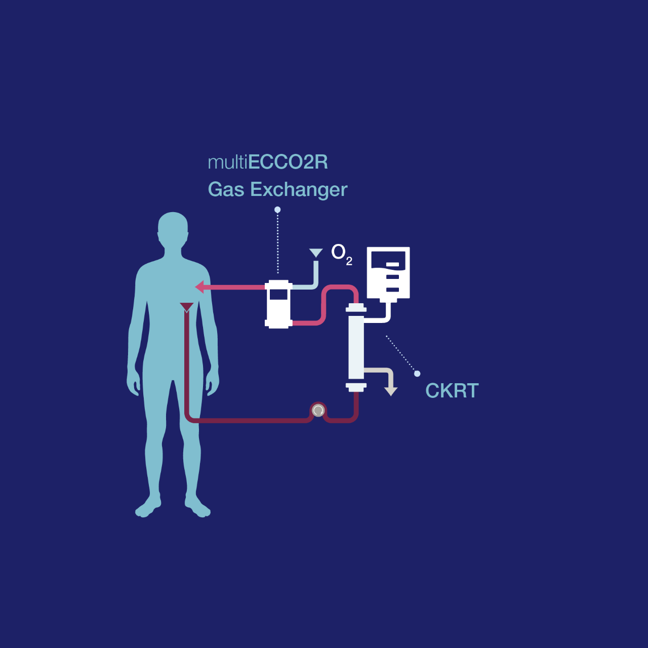 CO2 removal in combination with CKRT