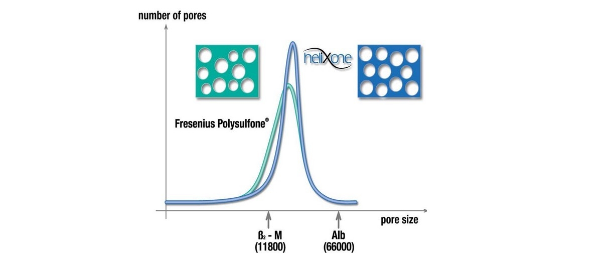 NCSTM results in optimized pore size distribution and larger average pore size