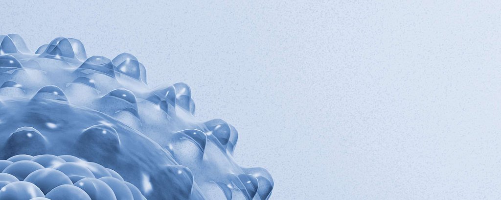 SPE001_hygiene