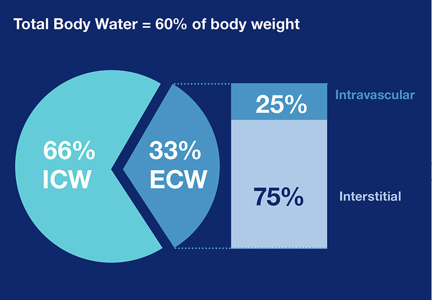 Figure 2: Distribution of TBW21