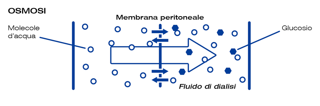 _dialyzer-facts_IT