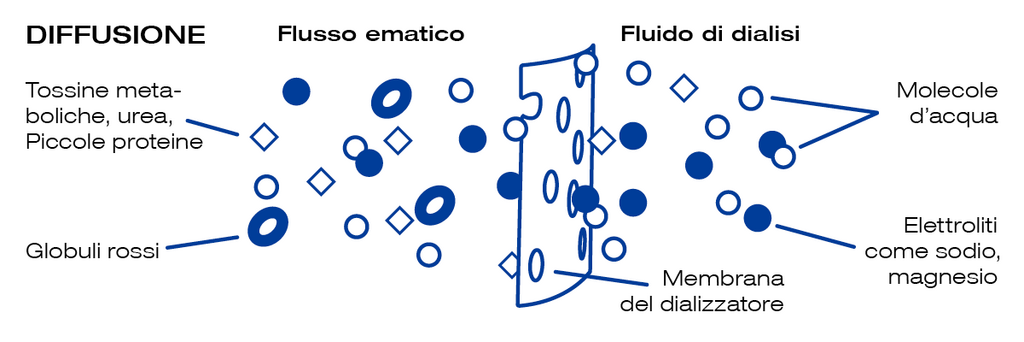 diffusion-kidney-dialysis