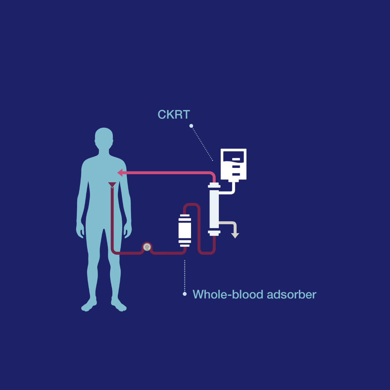 CKRT and reduction of pathogens and cytokines