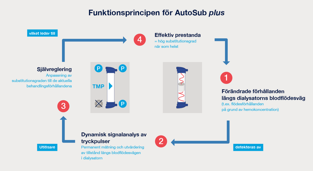  Funktionsprincipen för AutoSub plus