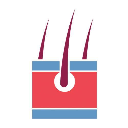 Dermatologi