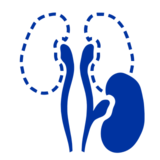 Transplantasyon