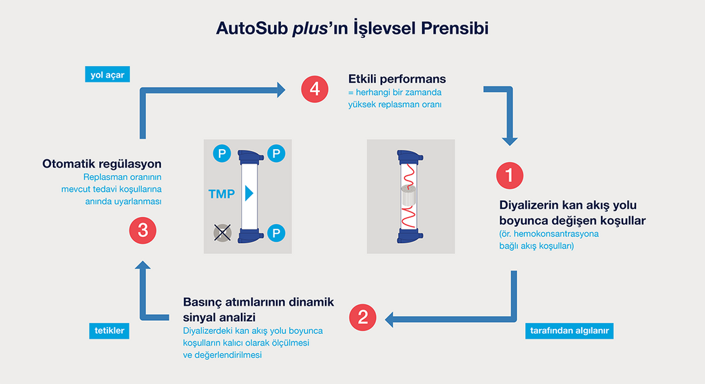 AutoSub plus'ın işlevsel prensibi19